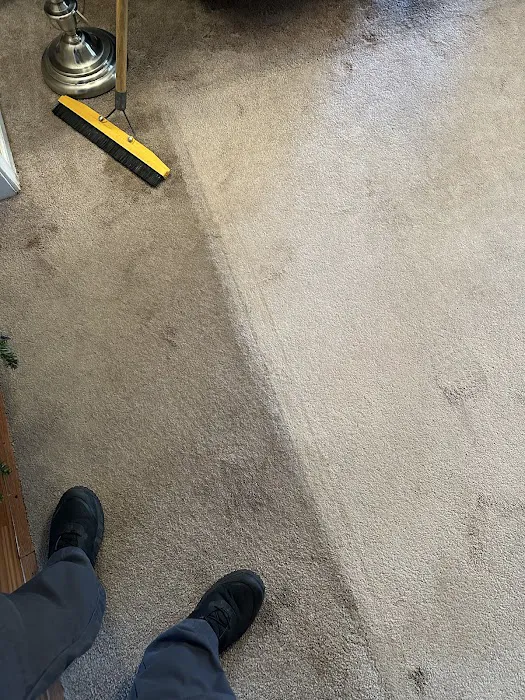 Stanley Steemer Picture 6