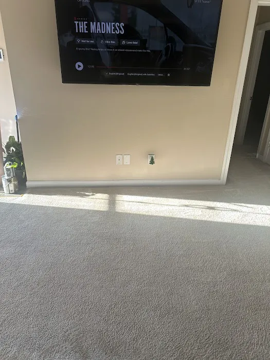 Stanley Steemer Picture 9