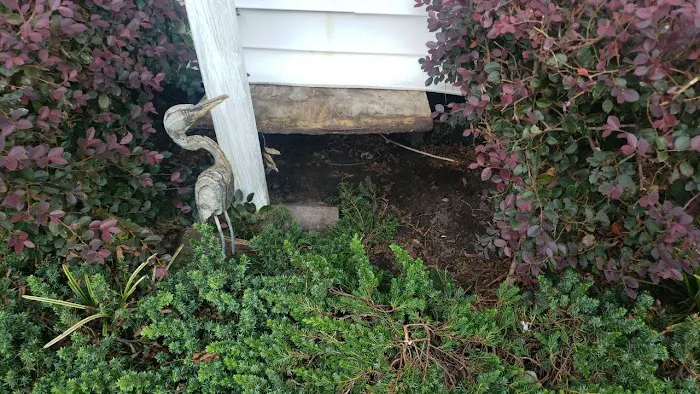 ADU Water Fire Mold Storm Picture 4