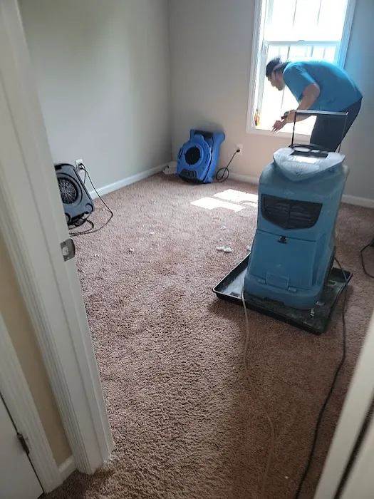 ADU Water Fire Mold Storm Picture 7