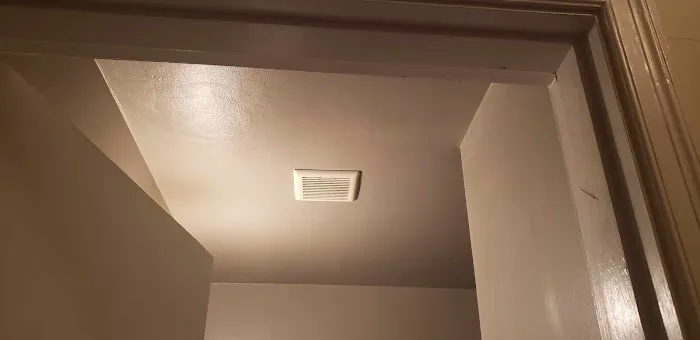 Tree of life home maintenance & painting Picture 4