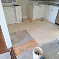 Tree of life home maintenance & painting ico