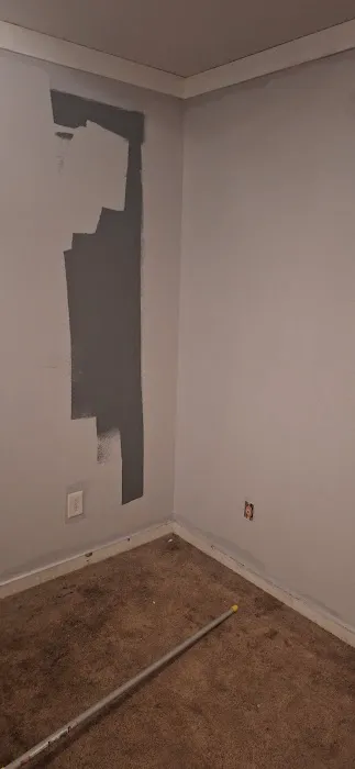 Tree of life home maintenance & painting Picture 5