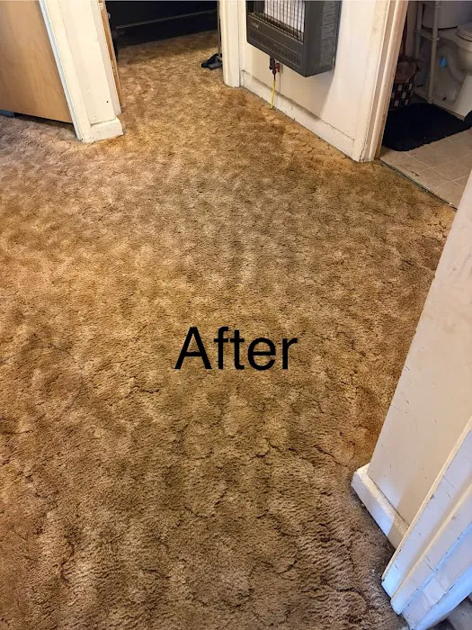 Top Notch Carpet Cleaning Picture 1