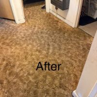 Top Notch Carpet Cleaning ico
