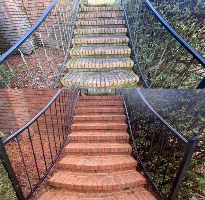 Top Notch Carpet Cleaning Picture 3