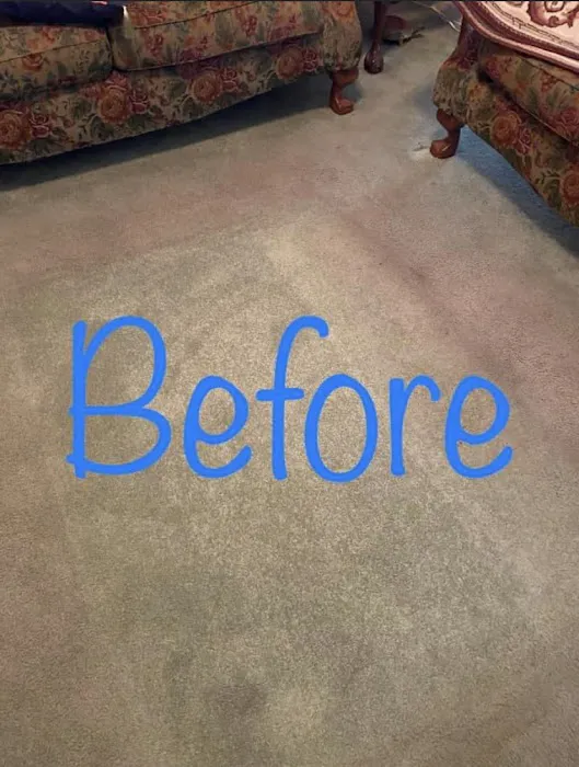 Top Notch Carpet Cleaning Picture 5