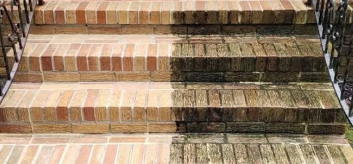 Top Notch Carpet Cleaning Picture 6