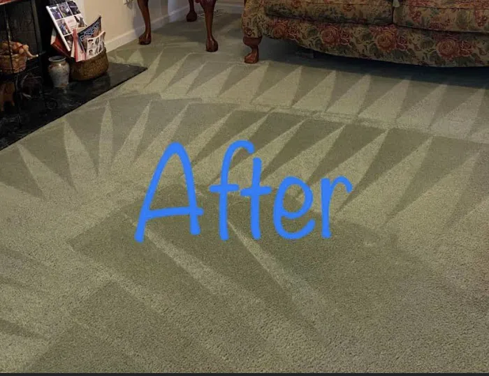 Top Notch Carpet Cleaning Picture 10