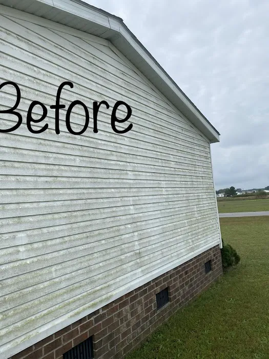 Top Notch Carpet Cleaning Picture 8