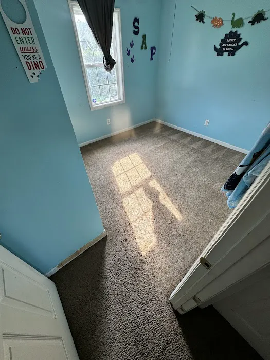 Stanley Steemer Picture 8