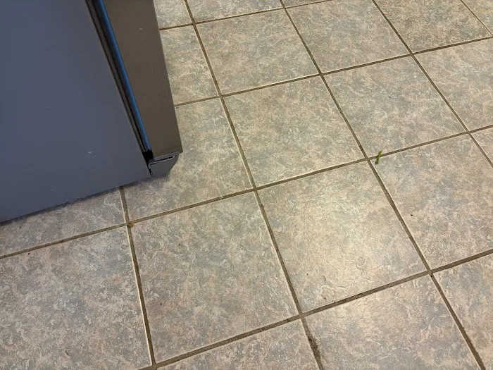 Stanley Steemer Picture 7