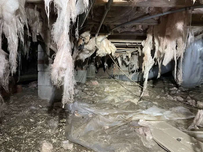 Crawlspace Medic of ENC Picture 5