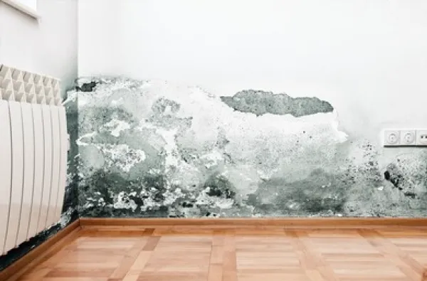 Hero Mold Company Picture 3