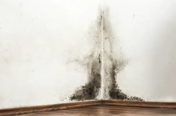 Hero Mold Company Picture 8