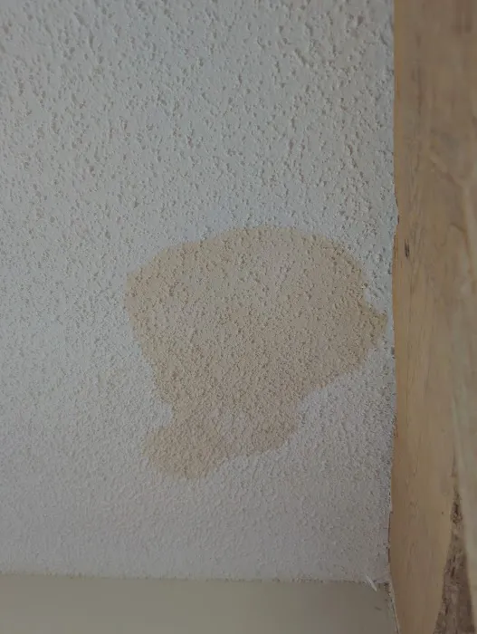 Pro Restoration Plus of ENC Picture 3