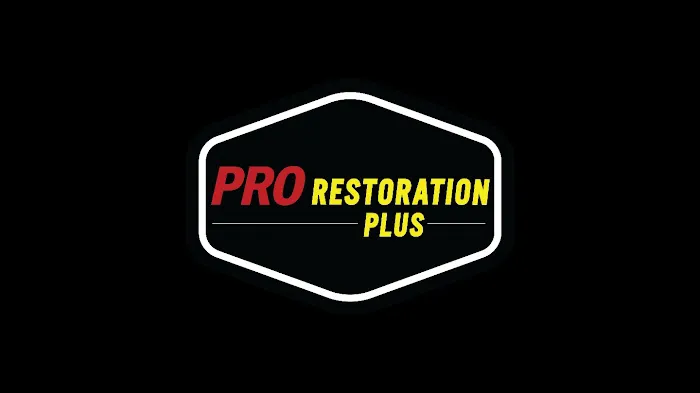 Pro Restoration Plus of ENC Picture 5