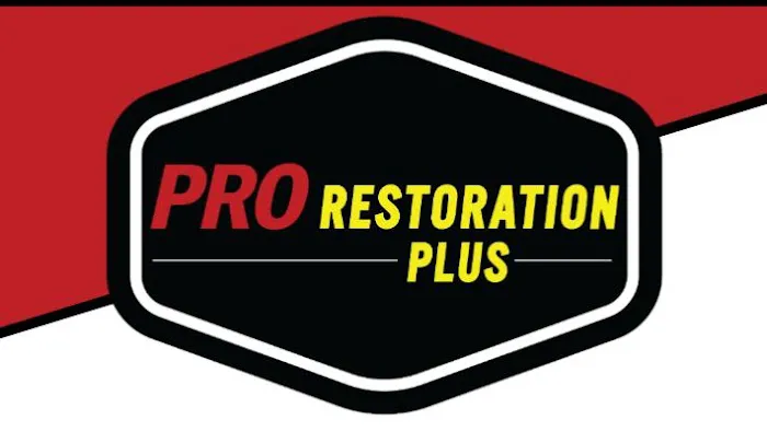 Pro Restoration Plus of ENC Picture 7