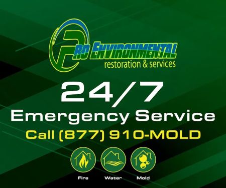 Pro Environmental Restoration & Services