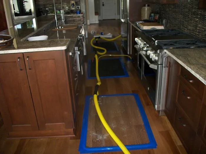 Pro Environmental Restoration & Services Picture 4