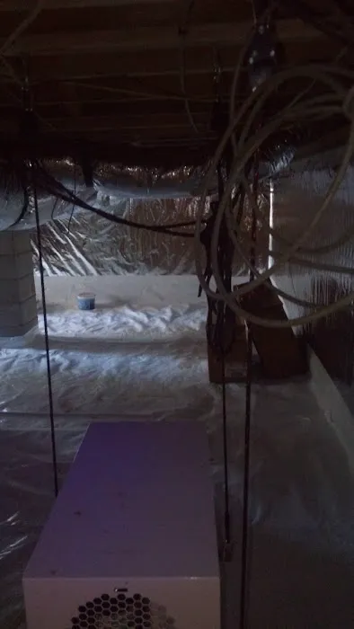 Pro Environmental Restoration & Services Picture 7