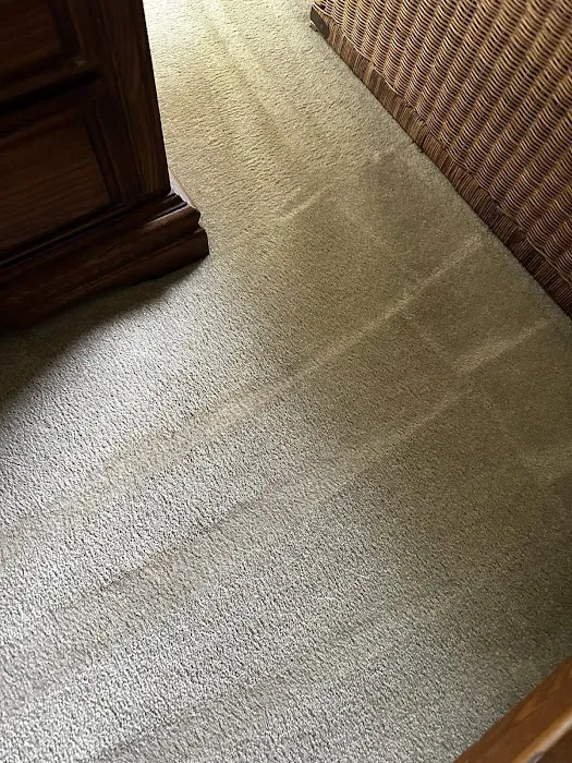 Van-Go Custom Carpet Cleaning Picture 2
