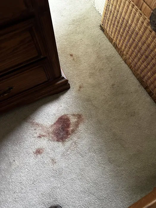 Van-Go Custom Carpet Cleaning Picture 10