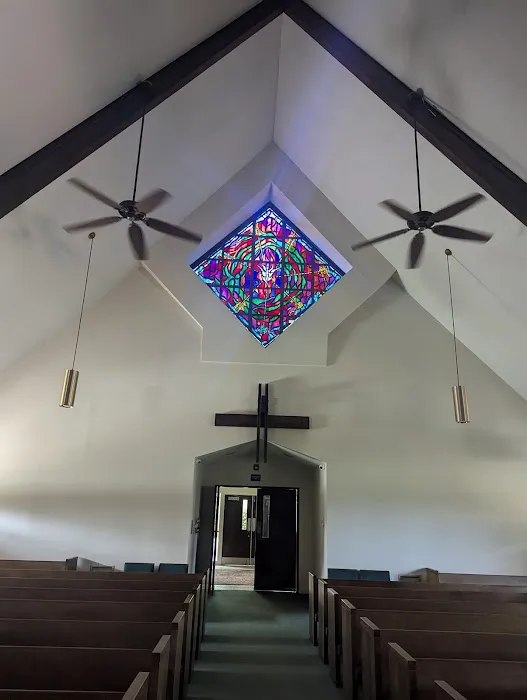 Van-Go Custom Carpet Cleaning Picture 8