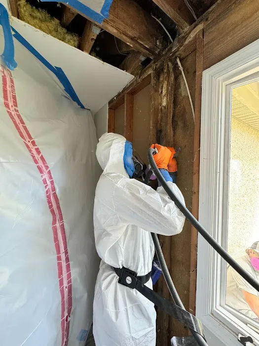 Home Disaster Medics Picture 9