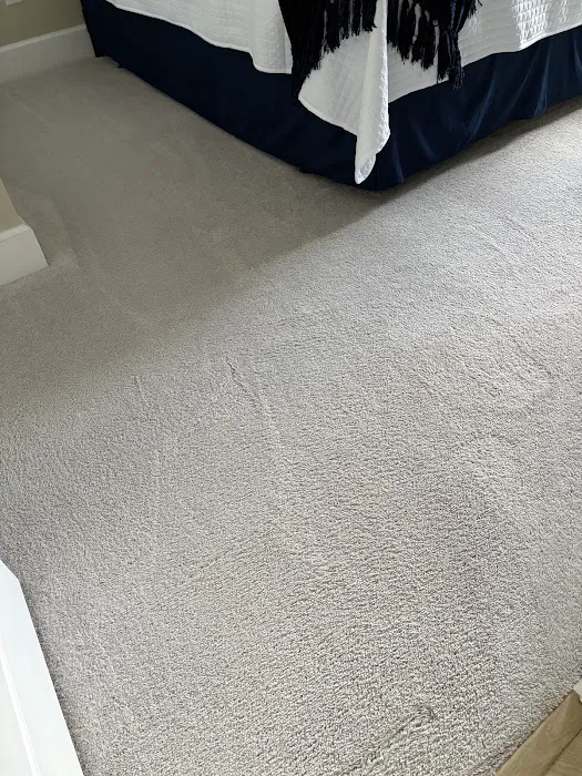 Stanley Steemer Picture 5