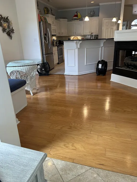 Stanley Steemer Picture 8