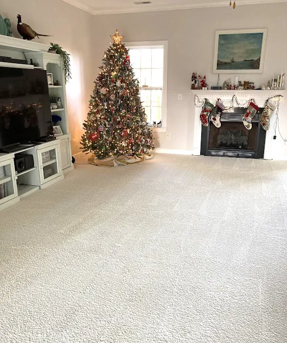 Stanley Steemer Picture 7