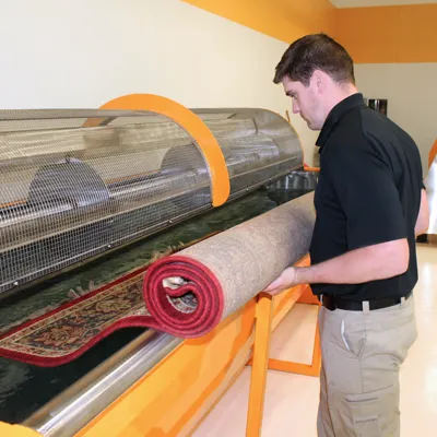 Stanley Steemer Picture 10