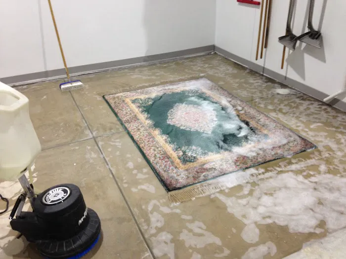 Masterclean Carpet & Upholstery Cleaning Picture 1