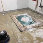 Masterclean Carpet & Upholstery Cleaning
