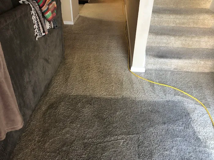 Masterclean Carpet & Upholstery Cleaning Picture 6