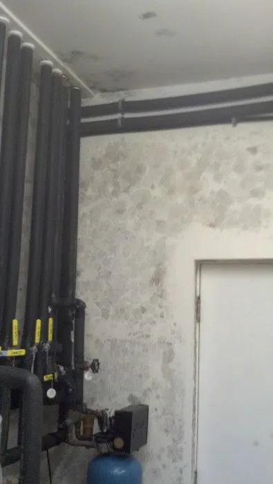 Masterclean Carpet & Upholstery Cleaning Picture 8