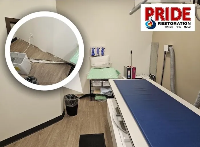 Pride Restoration Of NC Picture 1