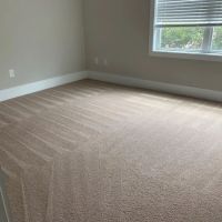 Healthy Solutions of The Carolinas ico