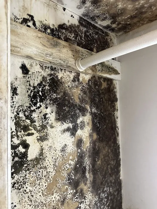 Healthy Solutions of The Carolinas Picture 7