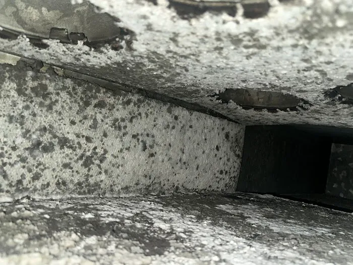 Healthy Solutions of The Carolinas Picture 5