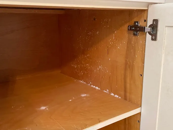 ASD Environmental Services Picture 2