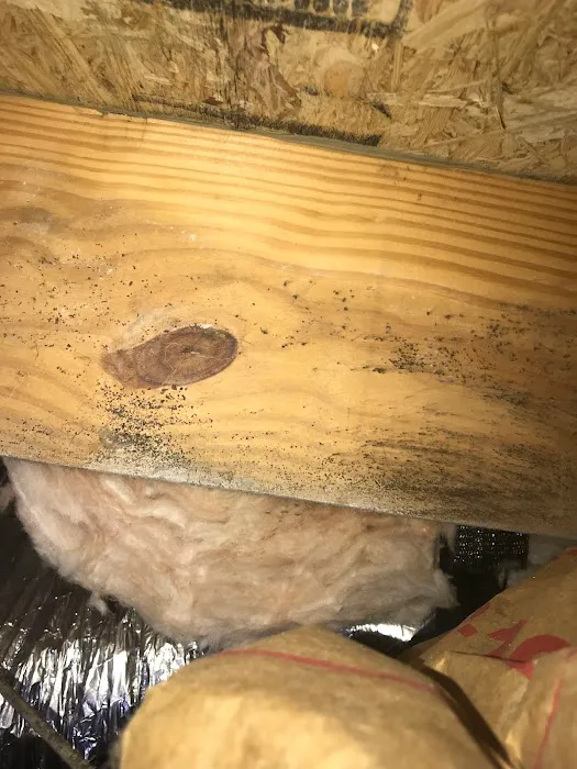 ASD Environmental Services Picture 3