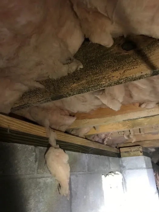 ASD Environmental Services Picture 4