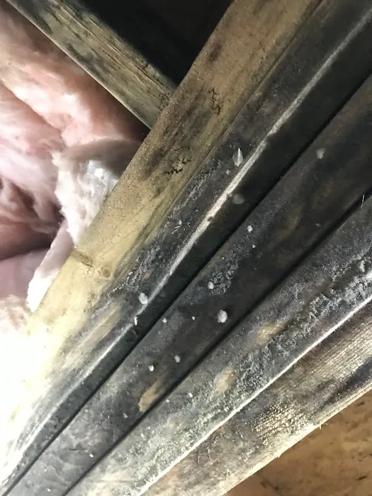 ASD Environmental Services Picture 1