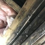 ASD Environmental Services