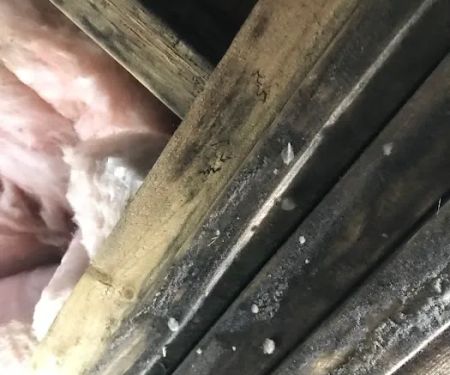 ASD Environmental Services