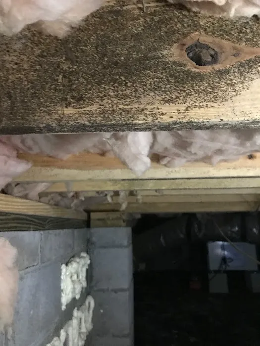 ASD Environmental Services Picture 5