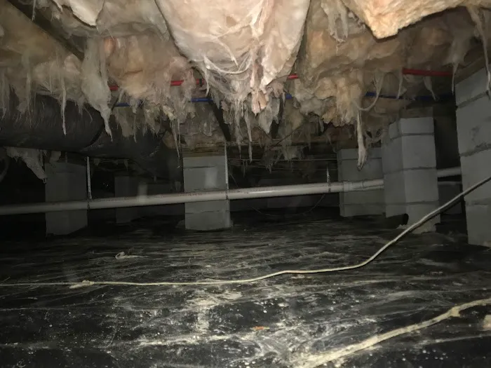 ASD Environmental Services Picture 7