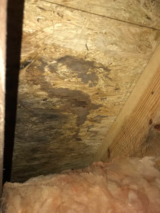 ASD Environmental Services Picture 6